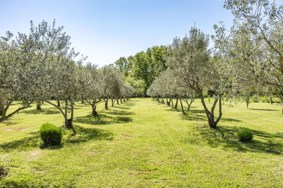 Domek Istrie - Vodnjan (Pula) IS 8081 N1