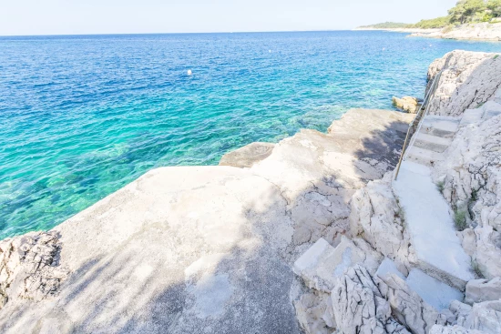 Apartmán Severní Dalmácie - Bilo (Primošten) DA 17343 N3