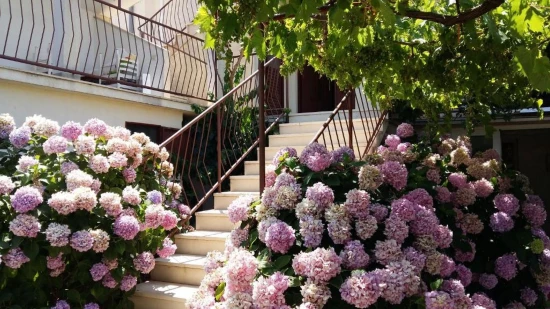 Apartmán Ostrov Brač - Supetar OS 12265 N1