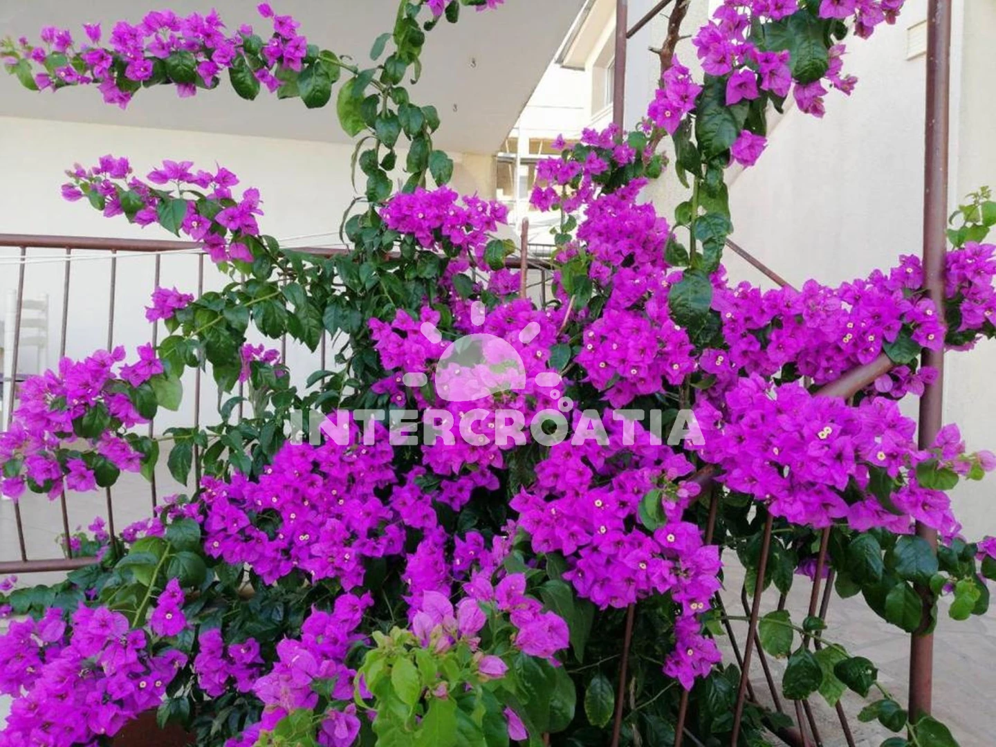 Apartmán Ostrov Brač - Supetar OS 12265 N1