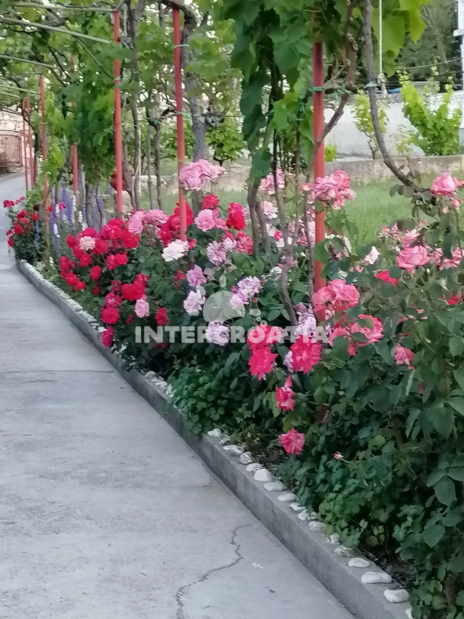 Apartmán Ostrov Rab - Supetarska Draga OS 12267 N2