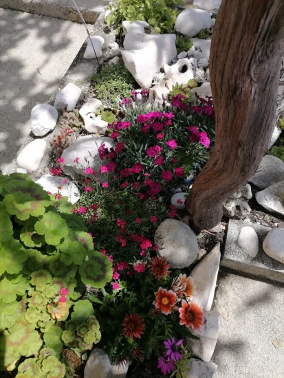 Apartmán Ostrov Rab - Supetarska Draga OS 12267 N2