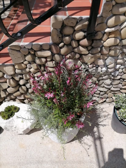 Apartmán Ostrov Rab - Supetarska Draga OS 12267 N2