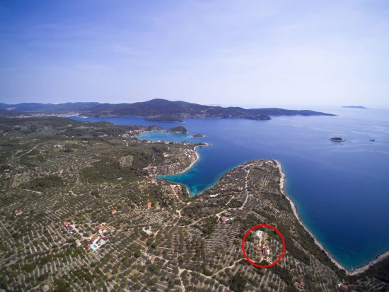 Domek Ostrov Korčula - Vela Luka OS 12269 N1