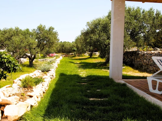 Domek Ostrov Korčula - Vela Luka OS 12269 N1