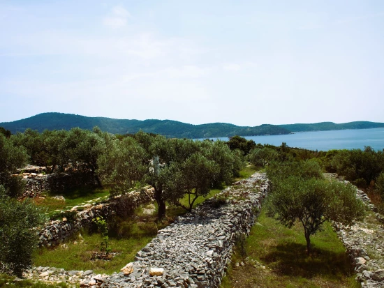 Domek Ostrov Korčula - Vela Luka OS 12269 N1