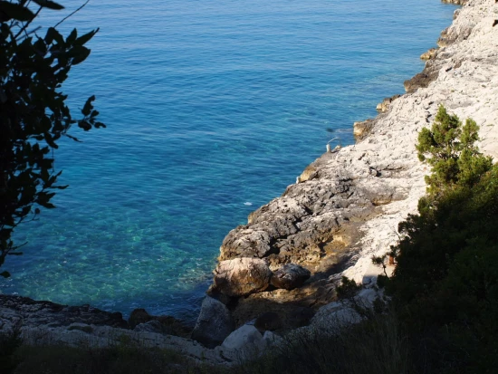 Domek Ostrov Korčula - Vela Luka OS 12269 N1