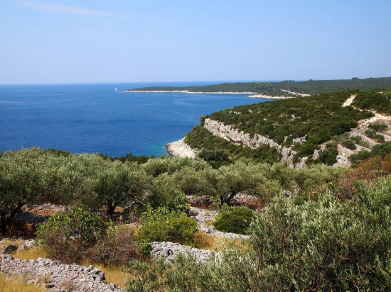 Domek Ostrov Korčula - Vela Luka OS 12269 N1