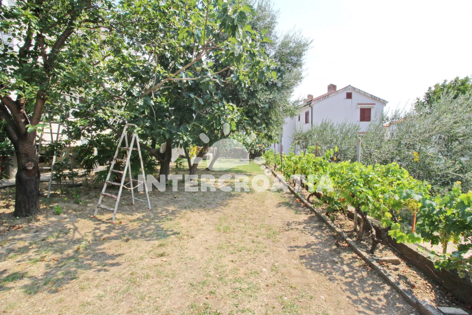 Apartmán Ostrov Krk - Baška OS 12273 N2