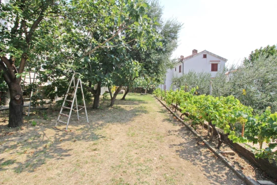 Apartmán Ostrov Krk - Baška OS 12273 N2