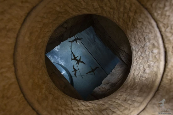 Domek Ostrov Brač - Supetar OS 12282 N1