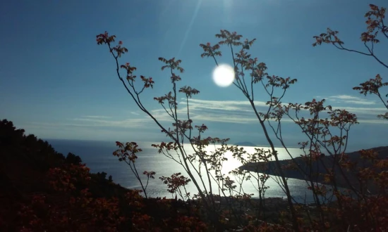 Apartmán Ostrov Vis - Komiža OS 12285 N2