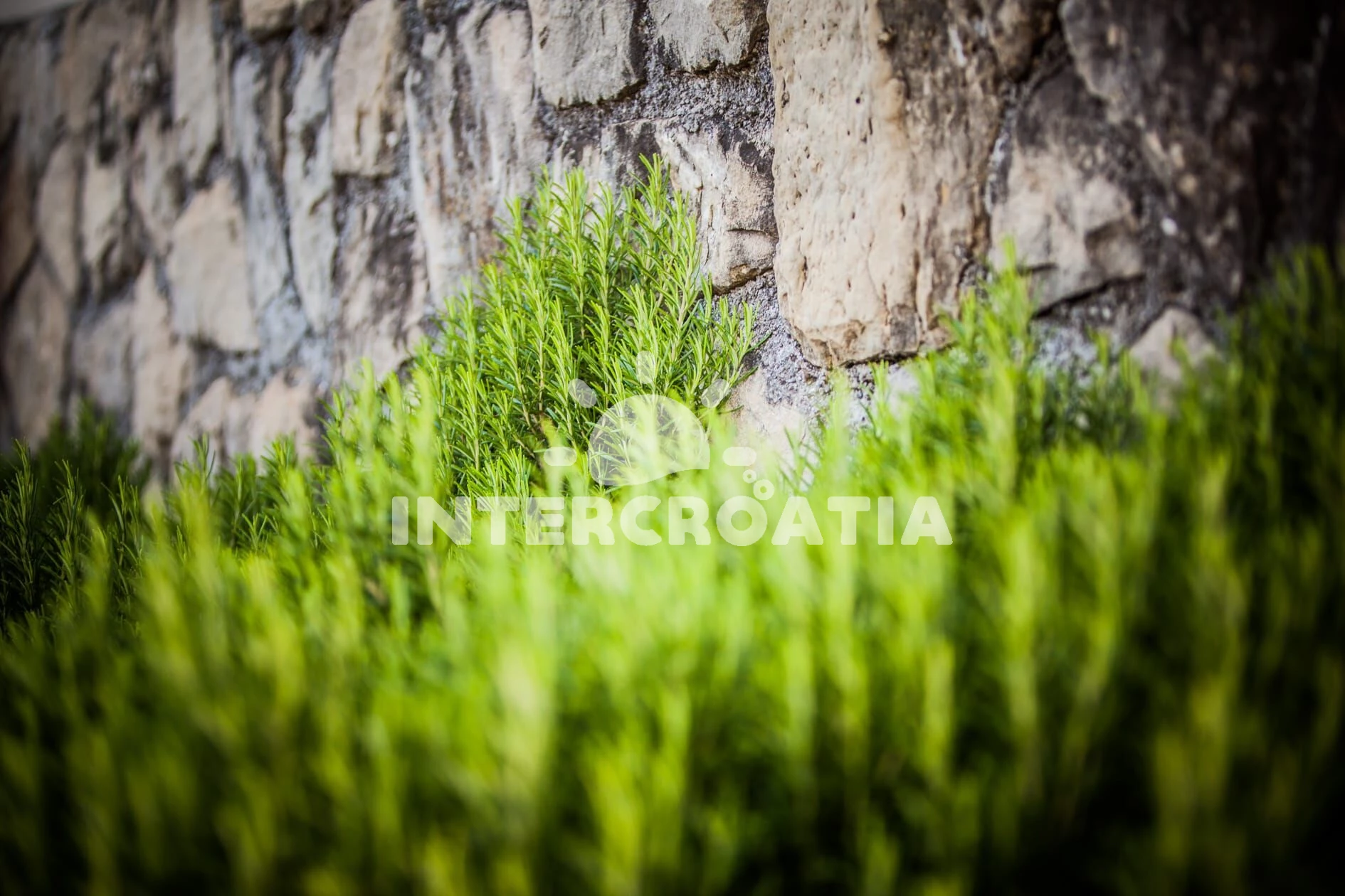 Apartmán Ostrov Rab - Lopar OS 12290 N4