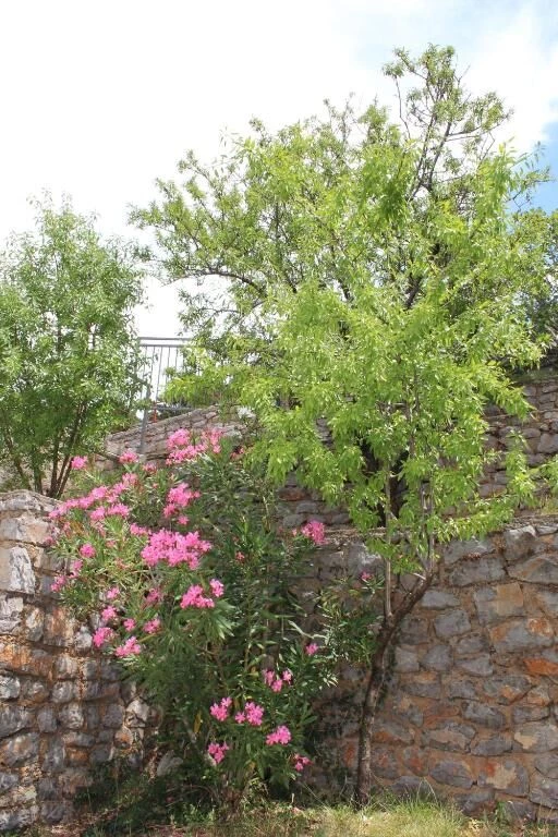 Apartmán Kvarner - Sveti Juraj (Senj) KV 10301 N1