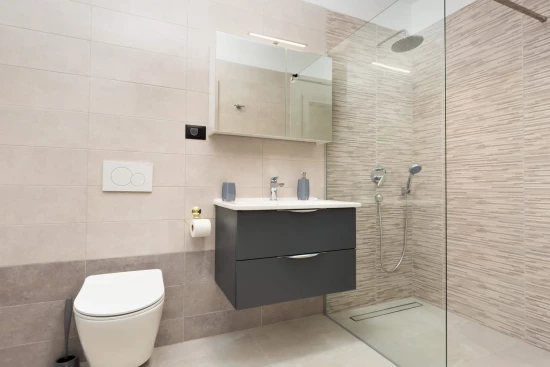 Domek Istrie - Tinjan IS 8095 N1