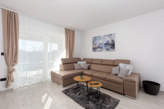 Domek Istrie - Tinjan IS 8095 N1