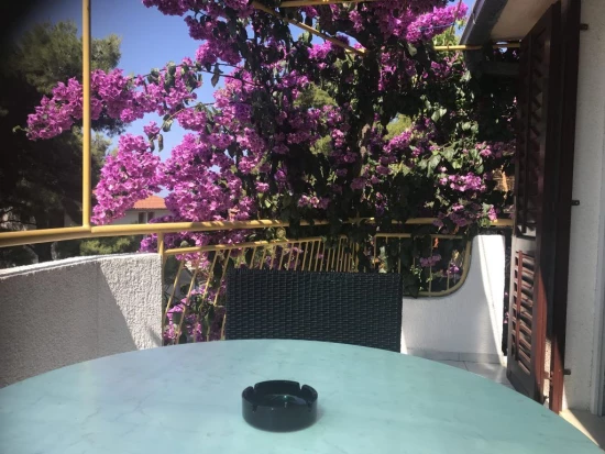 Apartmán Ostrov Hvar - Ivan Dolac OS 12291 N2