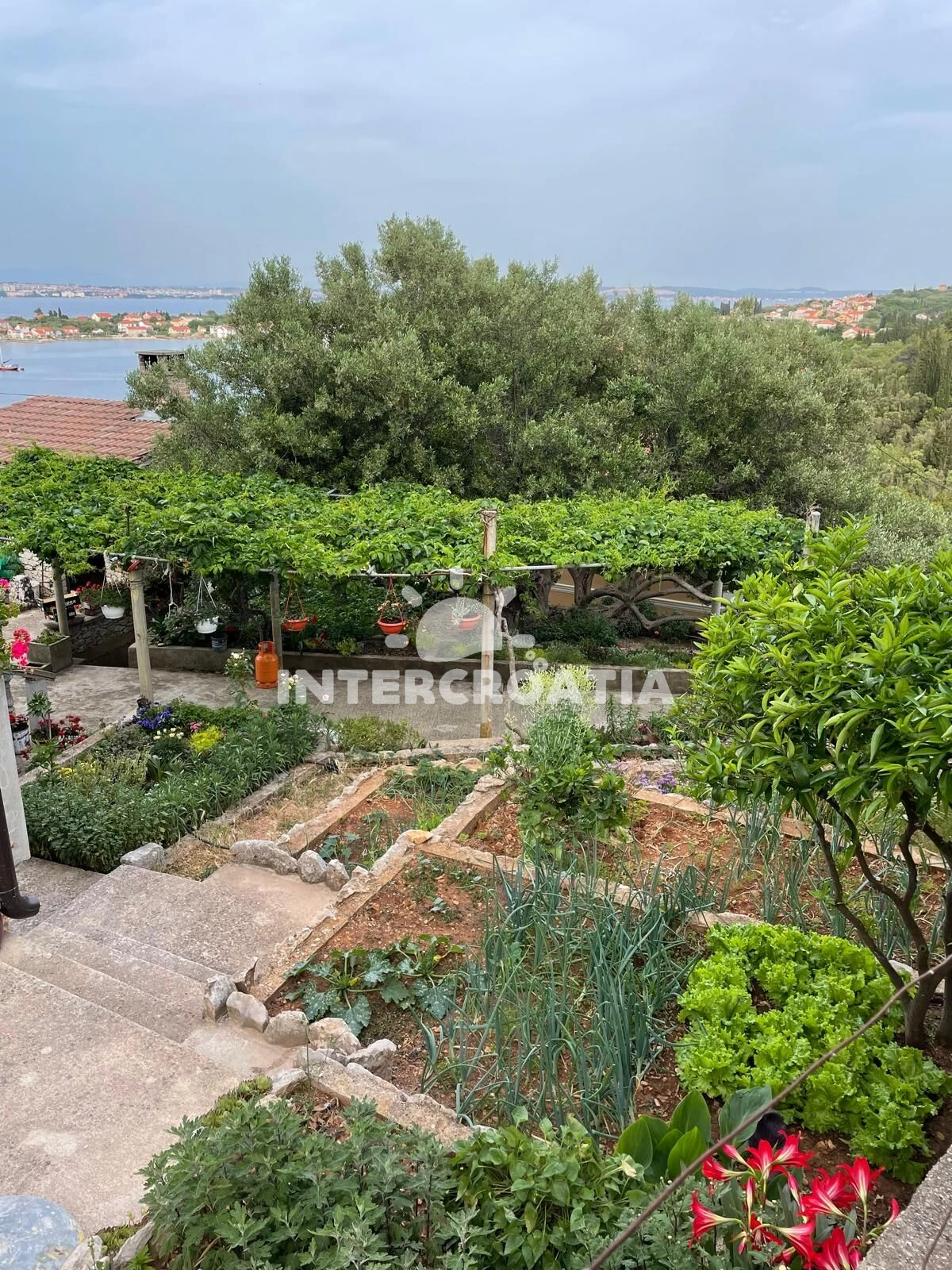 Apartmán Ostrov Ugljan - Lukoran OS 12292 N1