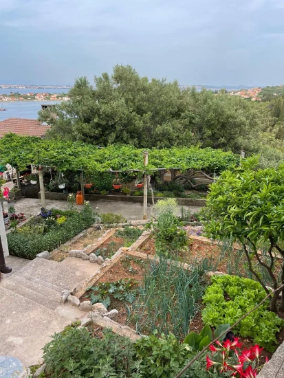 Apartmán Ostrov Ugljan - Lukoran OS 12292 N1