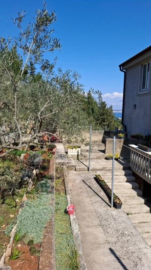 Apartmán Ostrov Ugljan - Lukoran OS 12292 N1