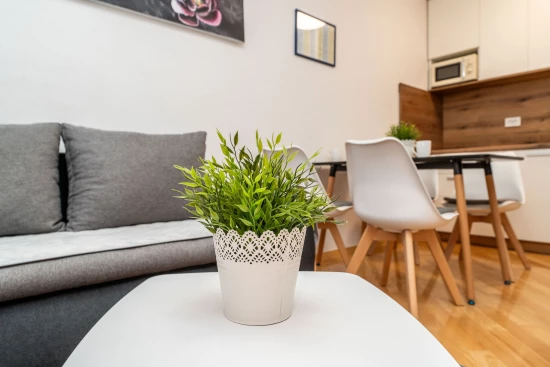 Apartmán Ostrov Vir - Vir OS 12293 N1
