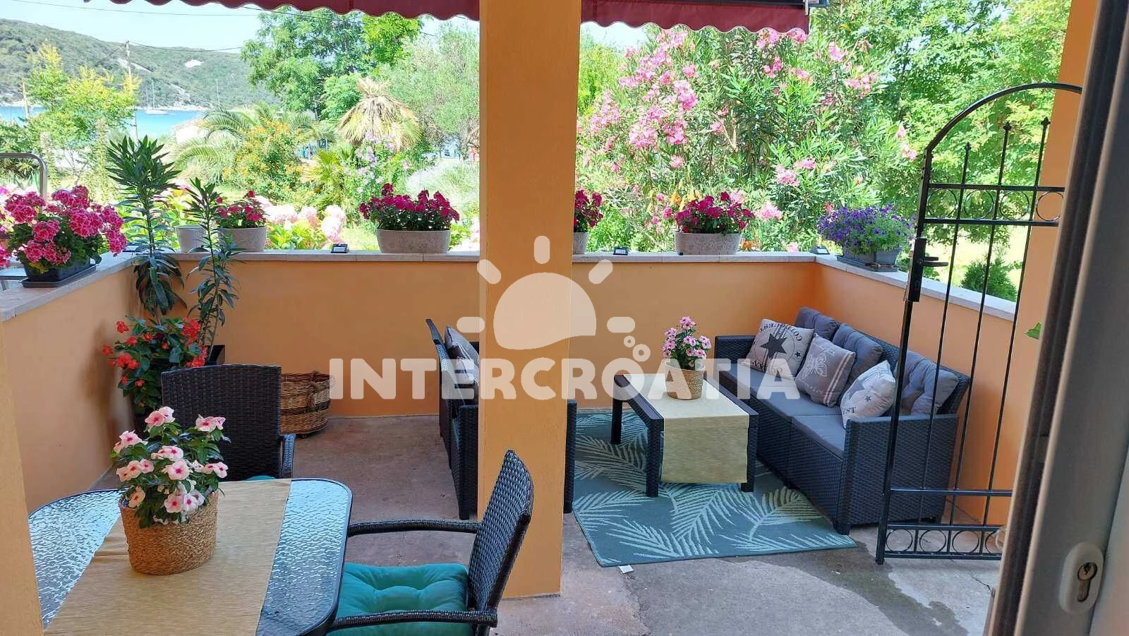 Apartmán Ostrov Rab - Kampor OS 12295 N1