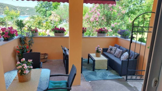 Apartmán Ostrov Rab - Kampor OS 12295 N1