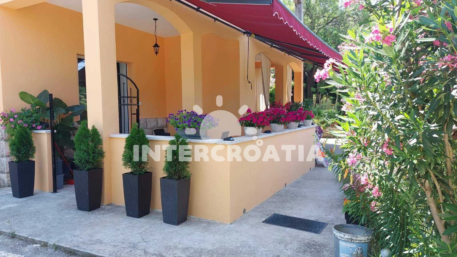 Apartmán Ostrov Rab - Kampor OS 12295 N1