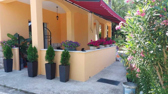 Apartmán Ostrov Rab - Kampor OS 12295 N1