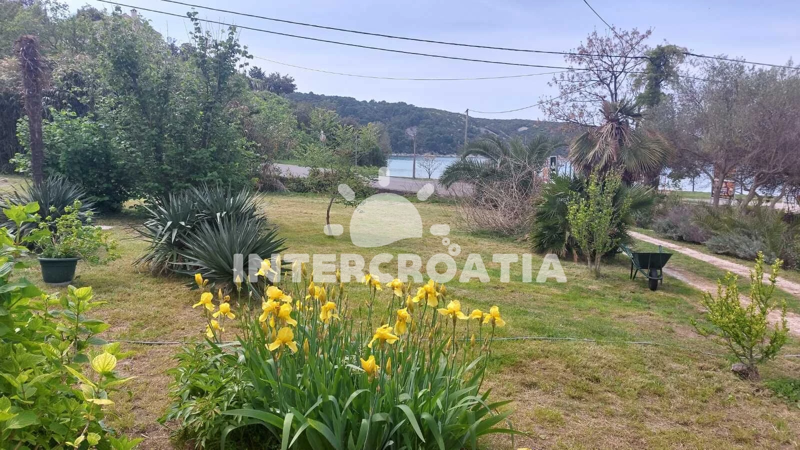 Apartmán Ostrov Rab - Kampor OS 12295 N1