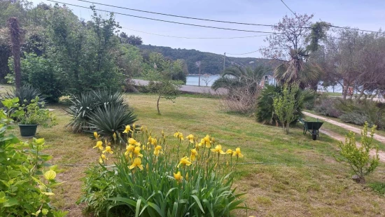 Apartmán Ostrov Rab - Kampor OS 12295 N1