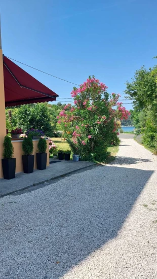 Apartmán Ostrov Rab - Kampor OS 12295 N1