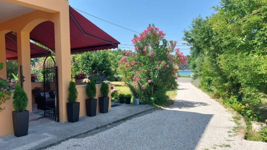 Apartmán Ostrov Rab - Kampor OS 12295 N1