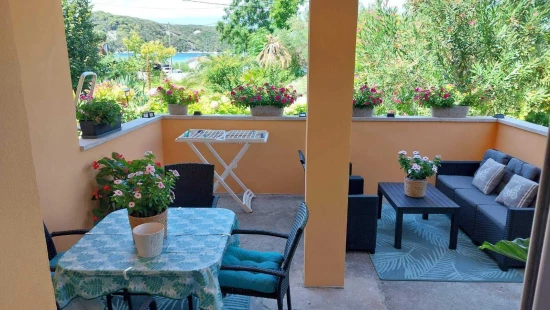 Apartmán Ostrov Rab - Kampor OS 12295 N1