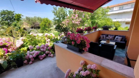 Apartmán Ostrov Rab - Kampor OS 12295 N1