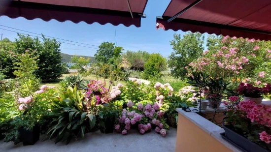 Apartmán Ostrov Rab - Kampor OS 12295 N1