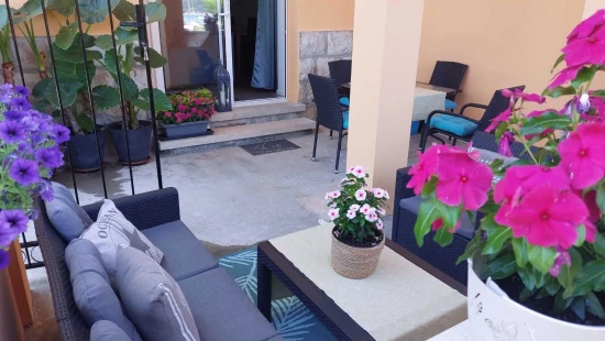 Apartmán Ostrov Rab - Kampor OS 12295 N1