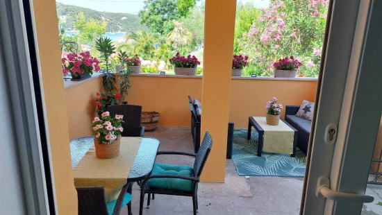 Apartmán Ostrov Rab - Kampor OS 12295 N1