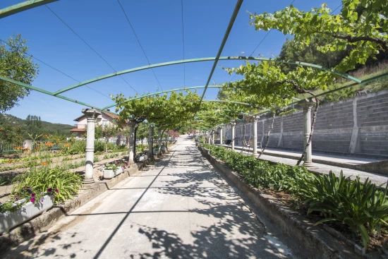 Apartmán Severní Dalmácie - Rupe (Krka) DA 17373 N2