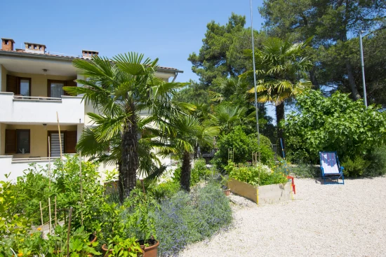 Apartmán Ostrov Krk - Malinska OS 12300 N1