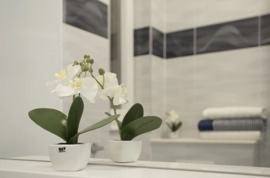 Apartmán Střední Dalmácie - Split DA 17374 N2