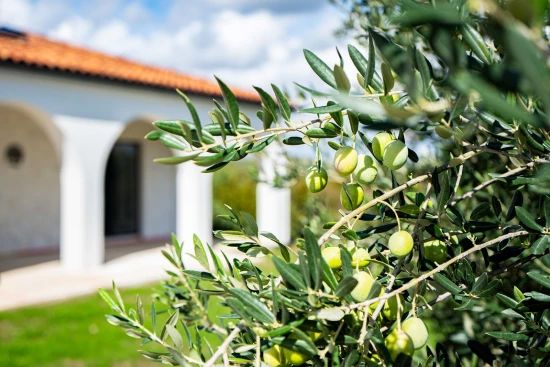 Vila Severní Dalmácie - Stankovci (Zadar) DA 17376 N1