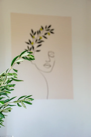 Vila Severní Dalmácie - Stankovci (Zadar) DA 17376 N1