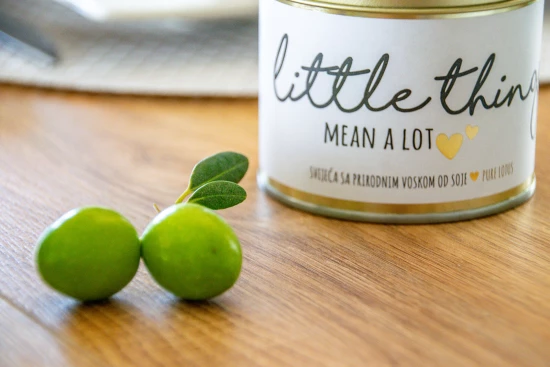 Vila Severní Dalmácie - Stankovci (Zadar) DA 17376 N1