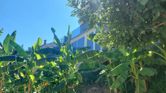 Apartmán Kvarner - Matulji KV 10306 N3