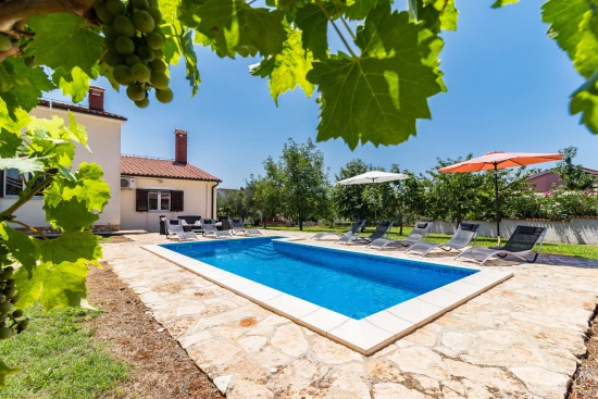 Vila Istrie - Vabriga IS 8096 N1