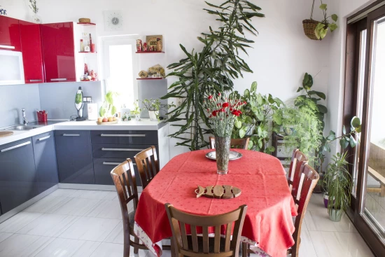 Apartmán Střední Dalmácie - Duće DA 17378 N1