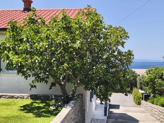 Domek Kvarner - Klenovica KV 10312 N1