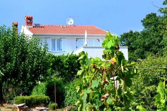 Apartmán Istrie - Karigador IS 8097 N1