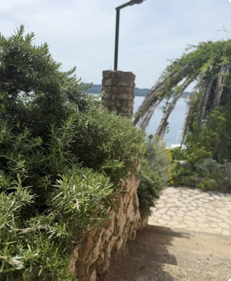 Domek Ostrov Dugi otok - Sali OS 12306 N1